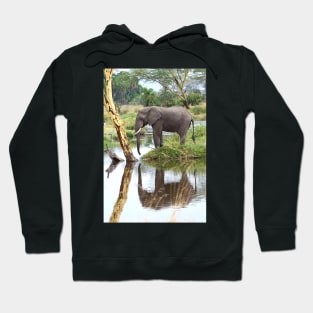 African Elephant, Serengeti National Park, Tanzania. Hoodie